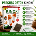 Parches Detox Kinoki Pack 10 UND (5 Pares)